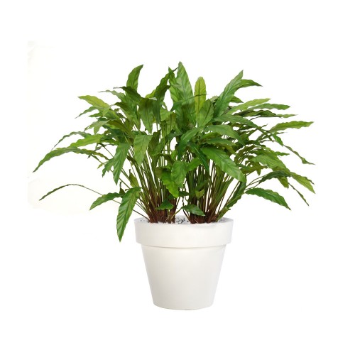 Planta semi-artificiala Ila, Calathea Bush Lux Green - 100 cm
